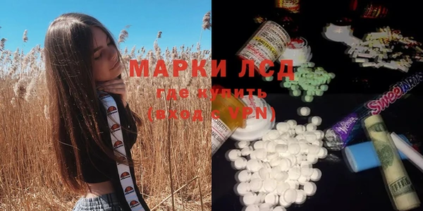 ПСИЛОЦИБИНОВЫЕ ГРИБЫ Алексин
