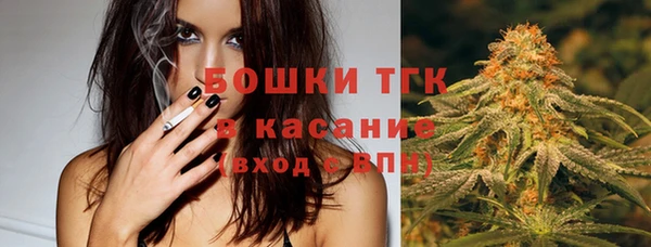 ПСИЛОЦИБИНОВЫЕ ГРИБЫ Алексин