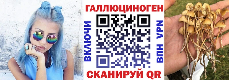 Псилоцибиновые грибы Psilocybine cubensis  ОМГ ОМГ как войти  Катав-Ивановск 